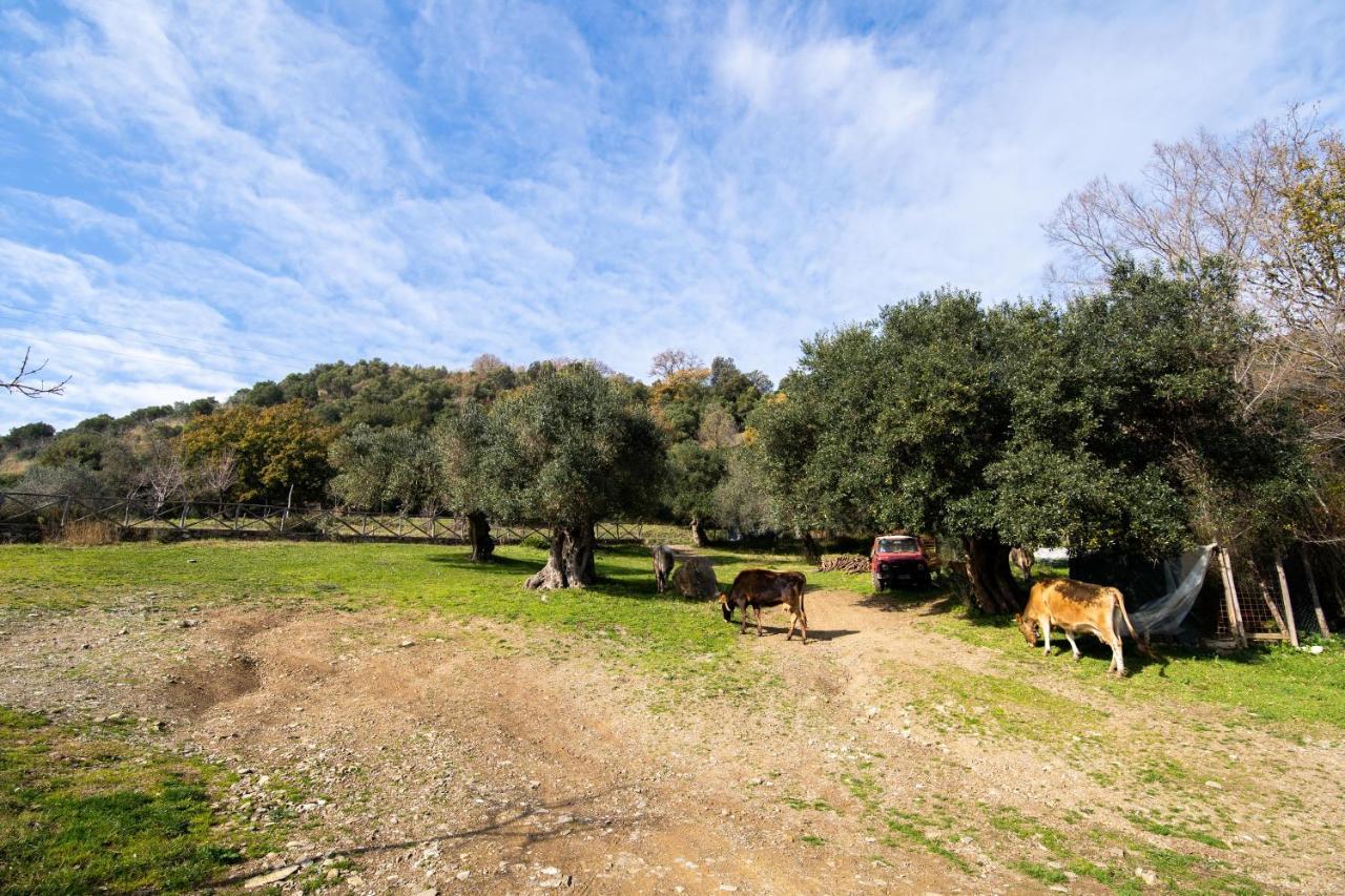 Agriturismo San Basilio Salento Bagian luar foto